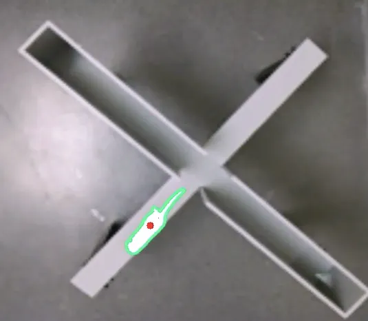 Tracked rat in elevated plus maze
